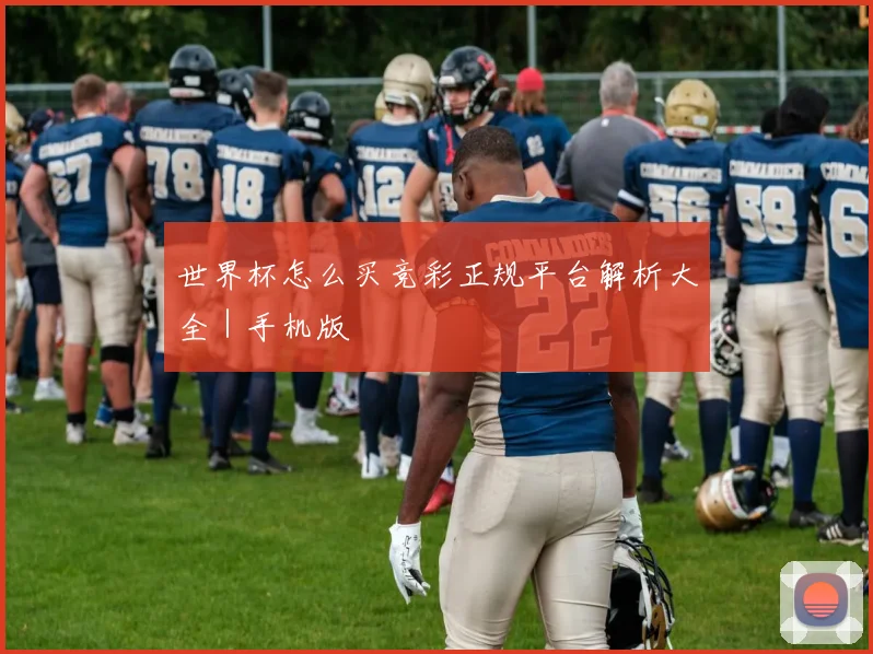 世界杯怎么买竞彩正规平台解析大全｜手机版