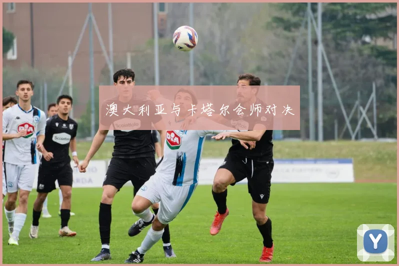 澳大利亚与卡塔尔会师对决