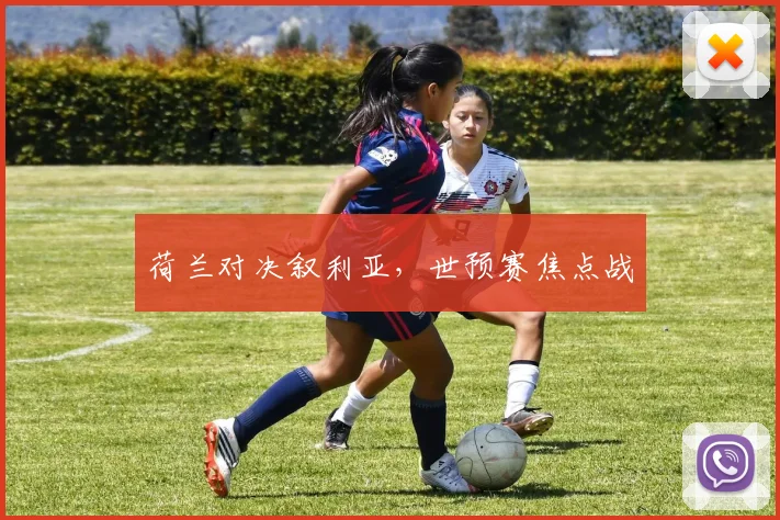 荷兰对决叙利亚，世预赛焦点战