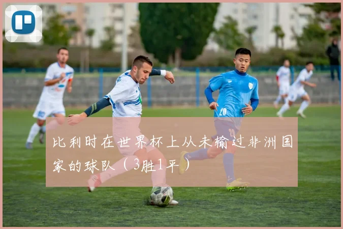 比利时在世界杯上从未输过非洲国家的球队（3胜1平）