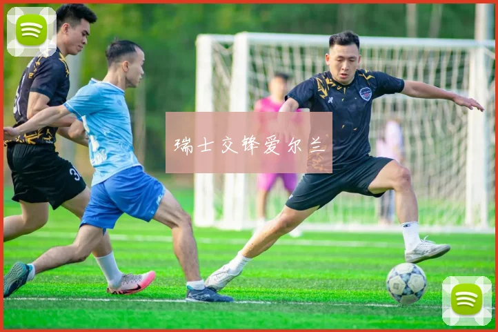 瑞士交锋爱尔兰