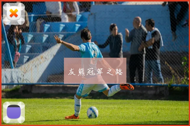 灰熊冠军之路