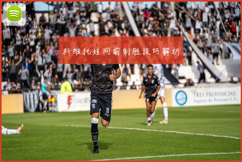 科维托娃网前制胜技巧解析