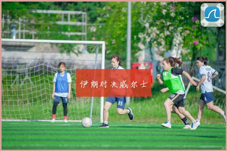 伊朗对决威尔士