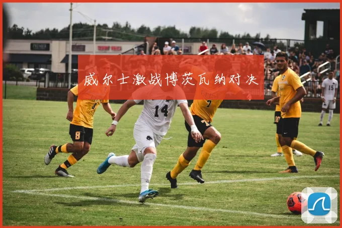 威尔士激战博茨瓦纳对决