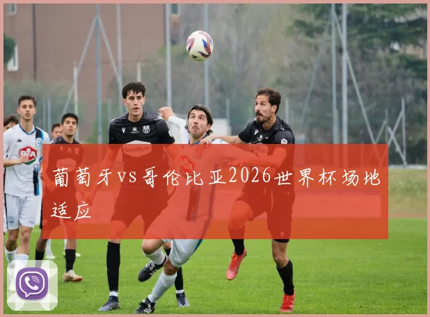 葡萄牙vs哥伦比亚2026世界杯场地适应