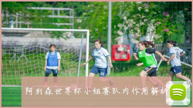 阿利森世界杯小组赛队内作用解析