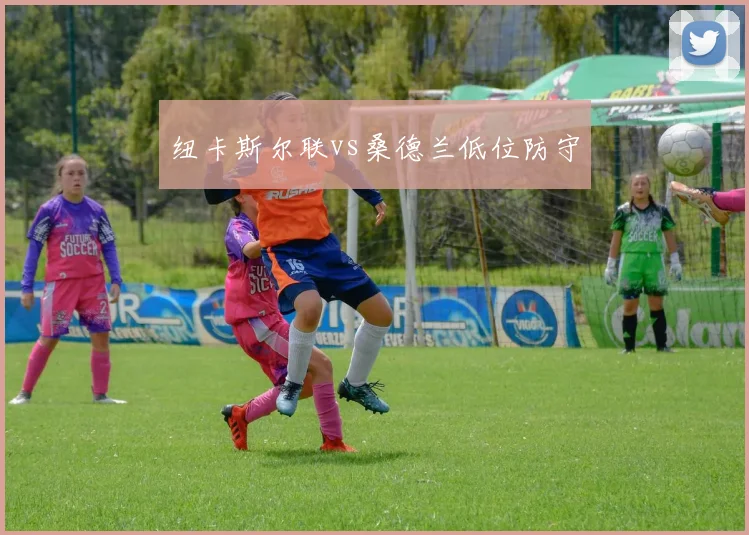 纽卡斯尔联vs桑德兰低位防守