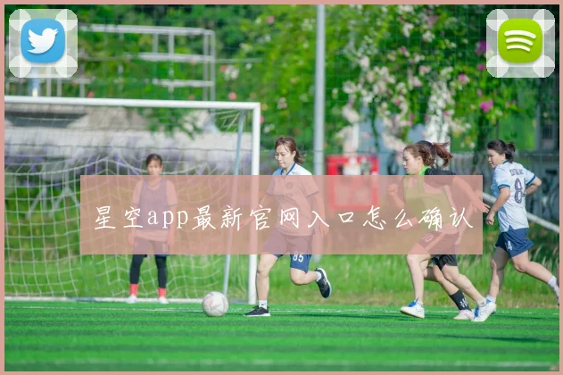 星空app最新官网入口怎么确认